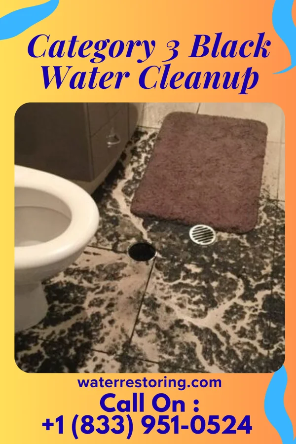 Category 3 Black Water Cleanup in Crumpler, WV