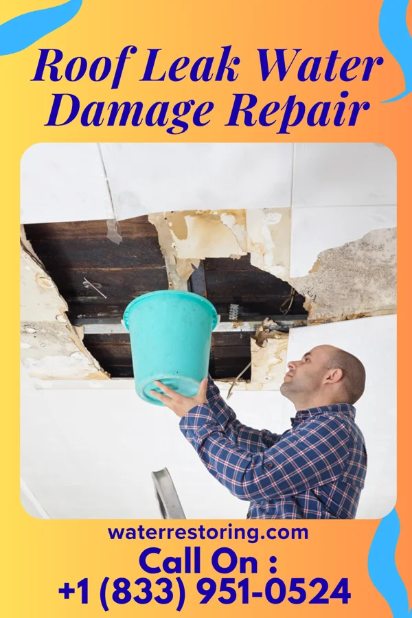Roof Leak Water Damage Repair in Crumpler, WV