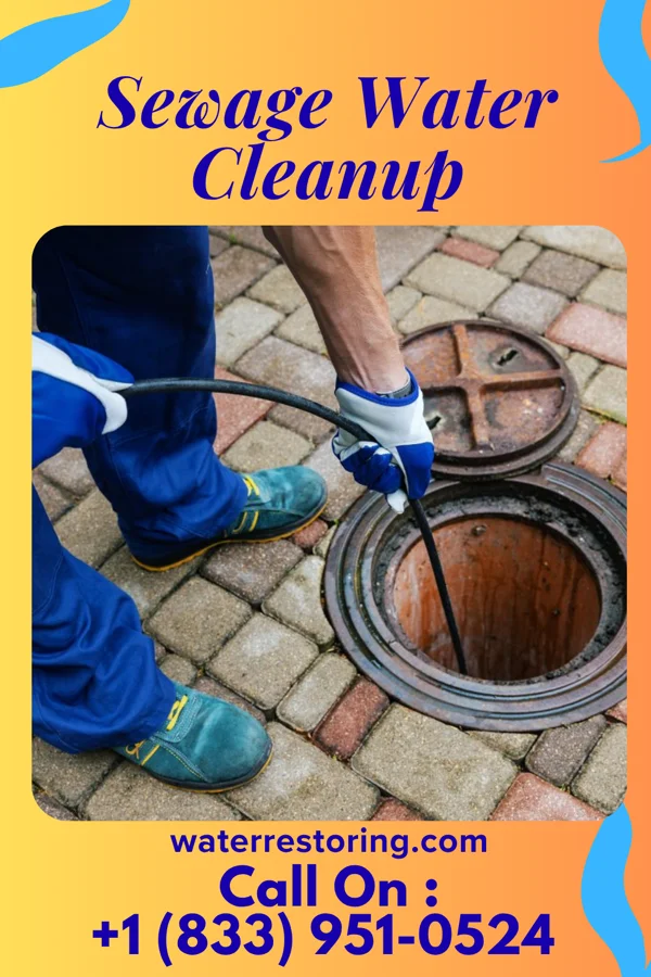 Sewage Water Cleanup in Crumpler, WV
