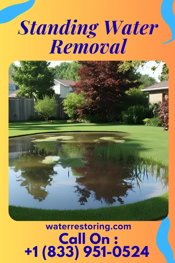 Standing Water Removal in Crumpler, WV